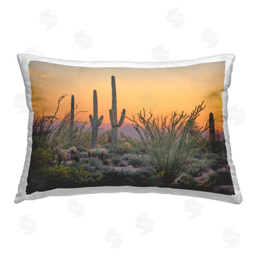 Marty Hulsebos | Sunset Desertscape Cacti